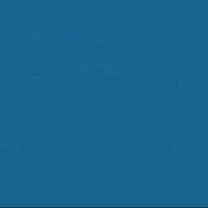 Meet your Posher, Jackson